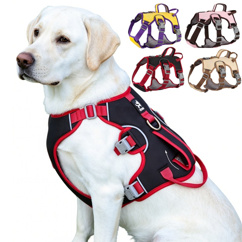 Pettorina per Cani Anti-Trazio - D Ring Strap recensione e prezzo